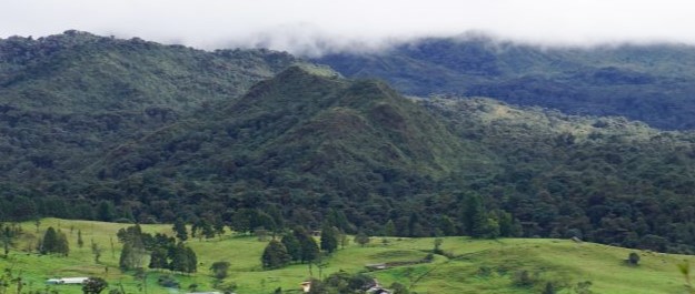Columbian hills